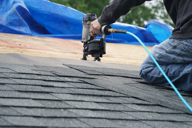 Best Metal Roofing Contractor  in Montezuma, GA