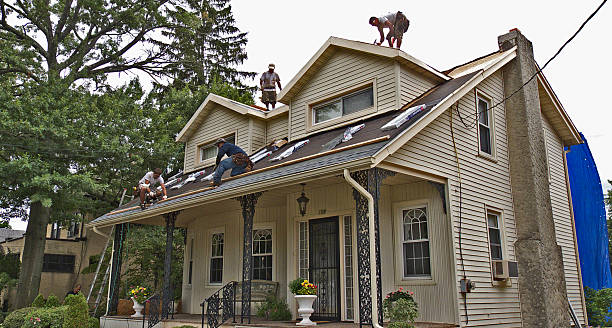 Best Gutter Installation and Roofing  in Montezuma, GA